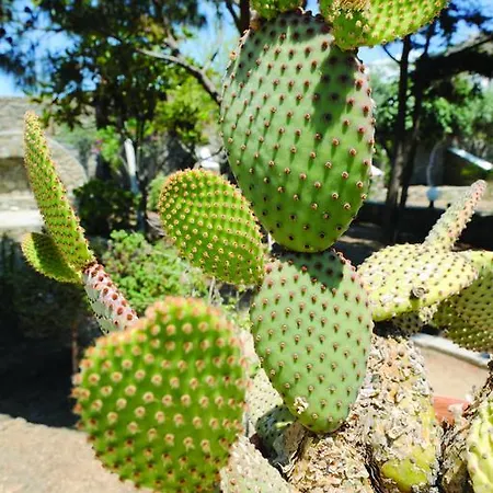 카마리 3*