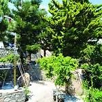 Kamari Ξενοδοχείο 3*