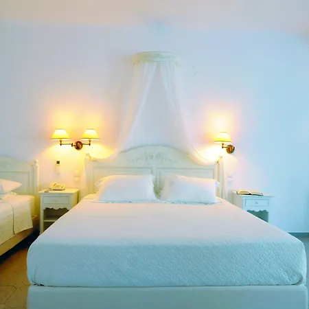 酒店 卡马利酒店 3*