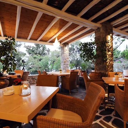 Kamari Hotell Platys Gialos (Mykonos)