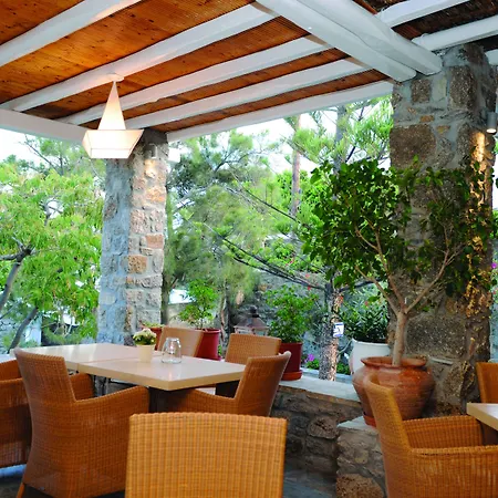 Kamari Platys Gialos (Mykonos)